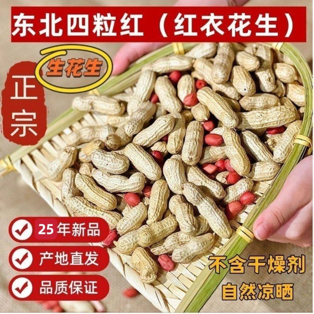 25年东北四粒红 抢5斤生花生带壳新鲜红皮花生晒干农家自种批发价
