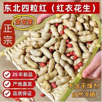 25年东北四粒红 抢5斤生花生带壳新鲜红皮花生晒干农家自种批发价