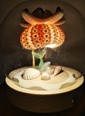 三色海胆路灯款成品特色伴手礼