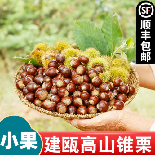 现摘现发新鲜现摘现发