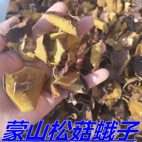 野生袋装沂蒙山蛾子干货蒙山松菇