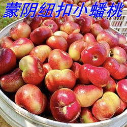 纽扣蟠桃露天小桃山东临沂蒙阴蜜桃时令应季新鲜水果脆甜油扁桃子