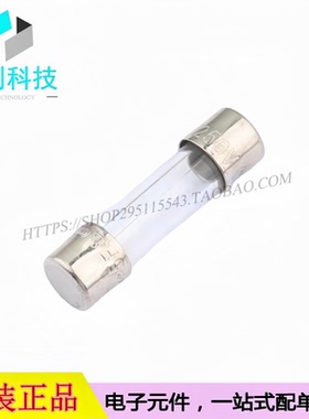 5F.0500210000R1 一次性玻璃管保险丝 5.2x20mm 500mA 250V(10个)