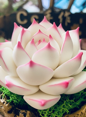 Cc原创树脂黏土仿真麦秆多肉玉蝶雪天使摆件蓝丝绒洛可可乌木生日