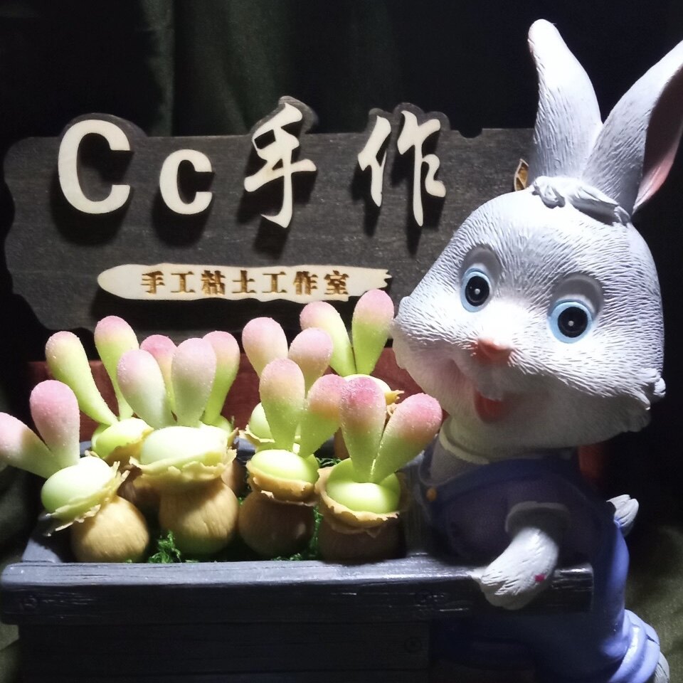 手工粘土多肉毛汉尼碧光环兔摆件
