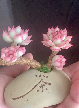 Cc原创迷你树脂黏土仿真多肉玫瑰植物小老桩水晶虾饺汽车摆件生日