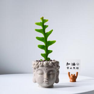 鱼骨令箭多肉植物盆栽办公室内桌面佛系绿植花卉好养创意懒人植物