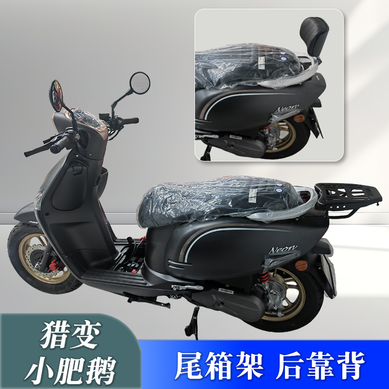 适用猎变摩托车小肥鹅尾架后货架改装尾箱架后靠背载人靠垫配件
