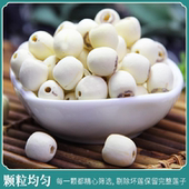 湘潭湘莲大颗粒磨皮通心白莲子干货500g无硫非兰州百合银耳莲子羹