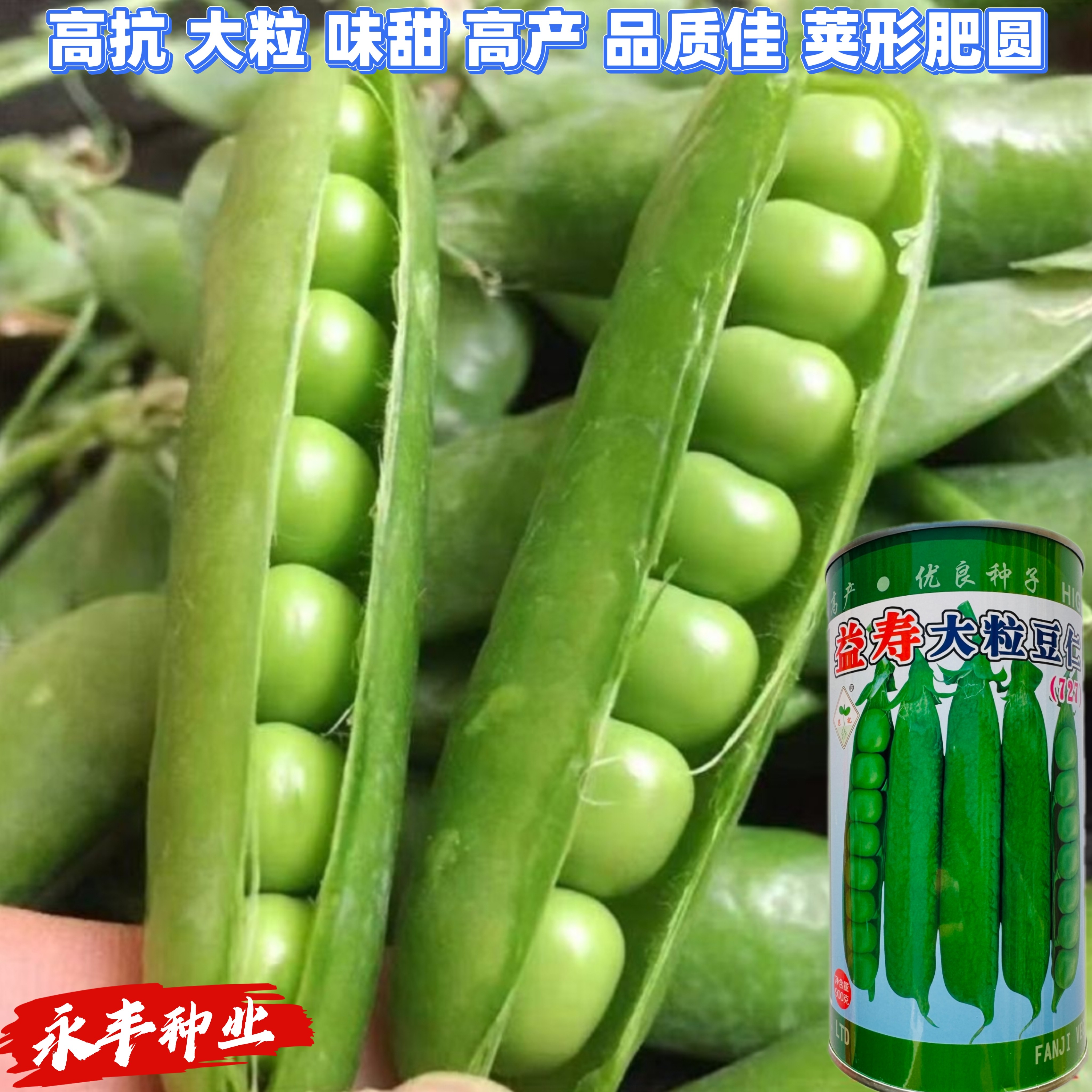 益寿豌豆种子高产抗病大荚青水果豌豆种籽四季播蔬菜种孑春秋