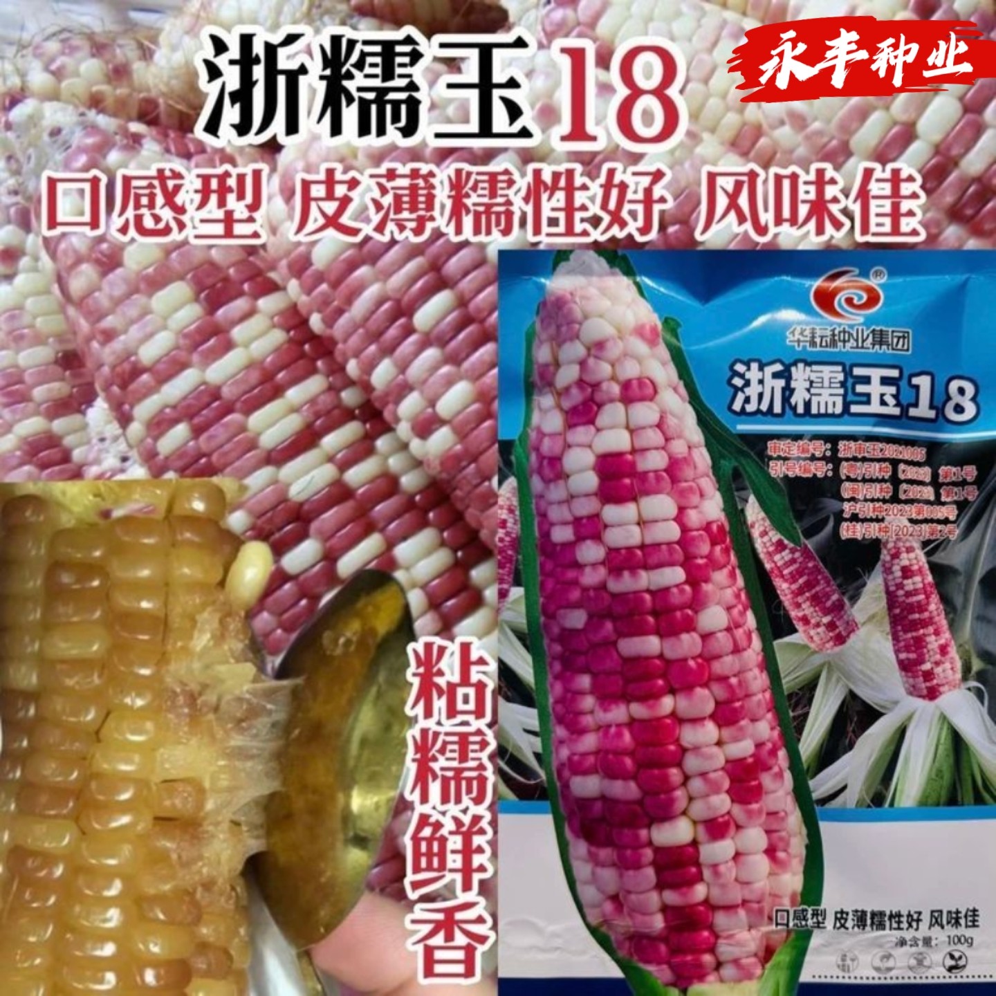 浙糯玉18号玉米种子皮薄粘糯鲜香口感好红润小彩糯玉米种子春秋播