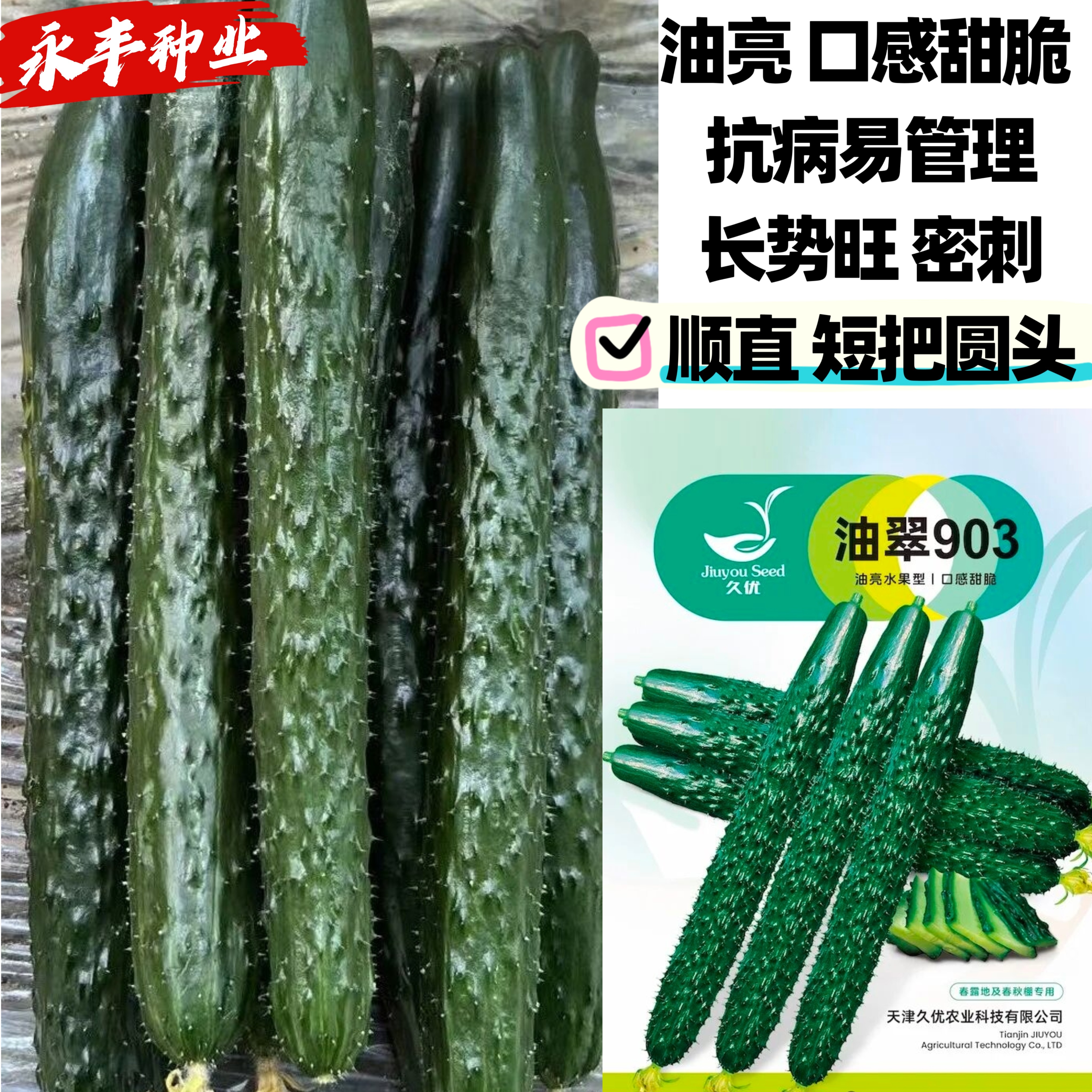 油翠903绿芯长黄瓜种子绿心密刺青黄瓜种籽四季菜种子旱黄瓜种子