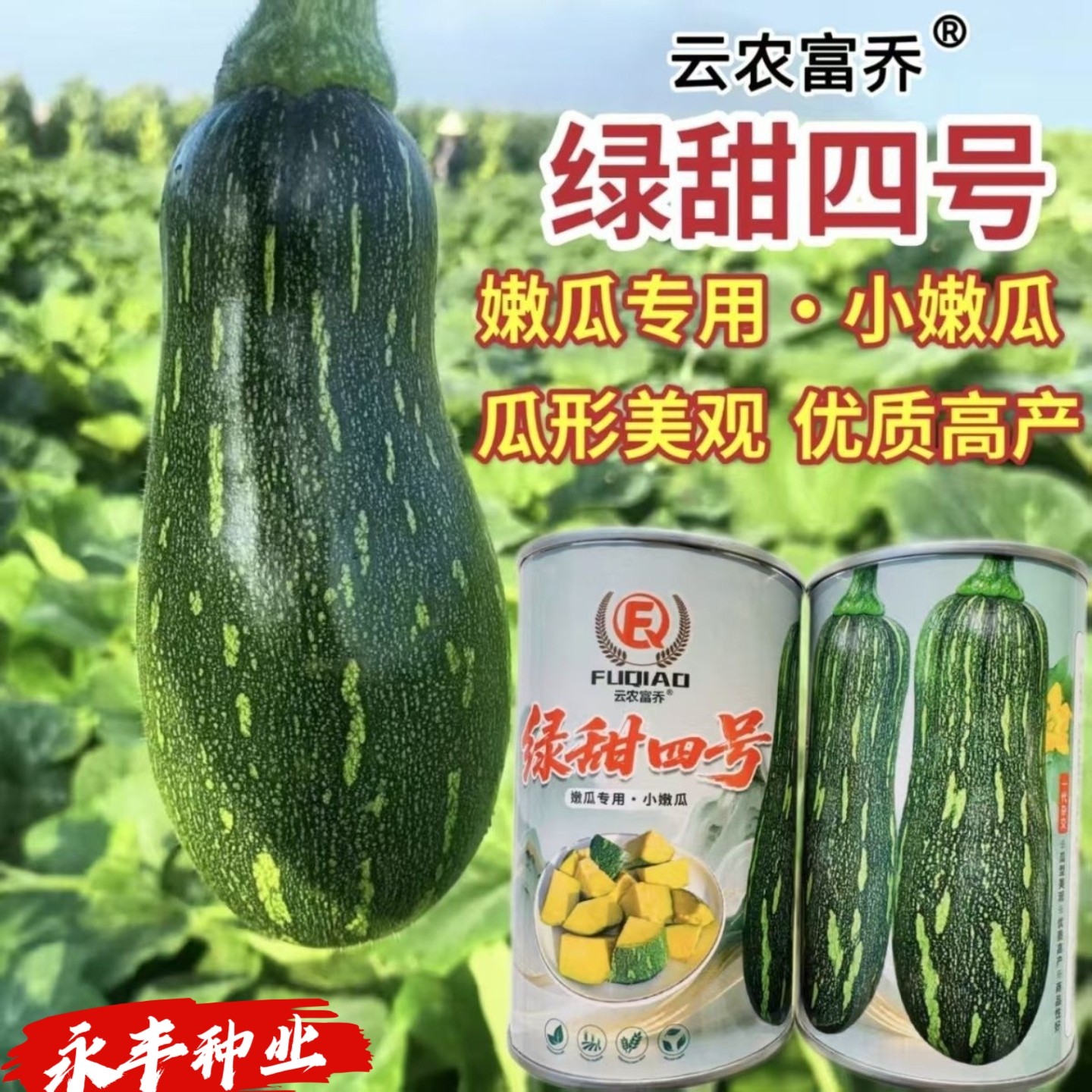 绿甜四号南瓜种子嫩南瓜老瓜兼用蜜本南瓜种子甜面花皮南瓜种耐热