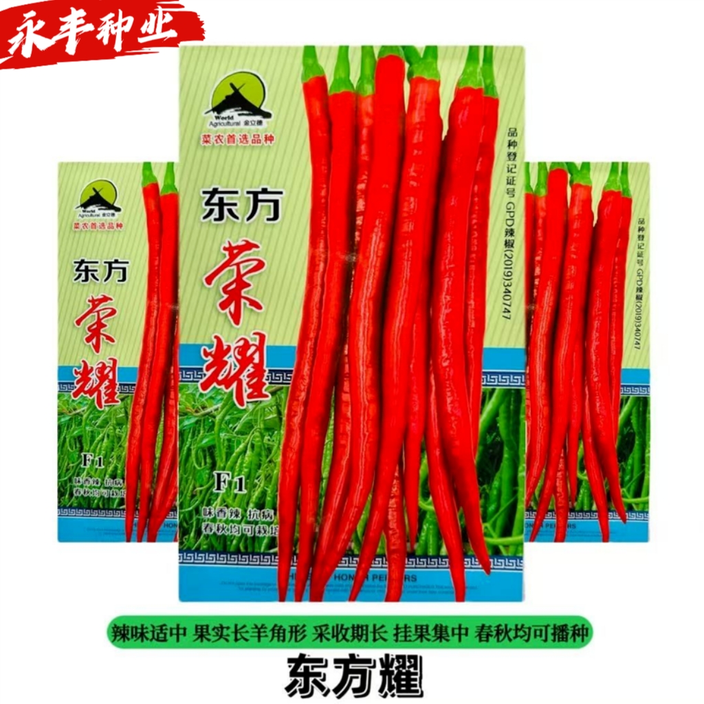 东方荣耀辣椒种子辣味香浓长羊角椒抗病高产耐湿春秋播长线椒种籽