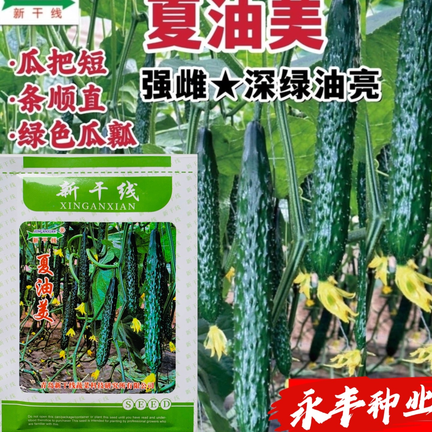 新干线夏油美黄瓜种子高产耐热强雌绿心油亮黄瓜种籽绿肉春夏秋季图片