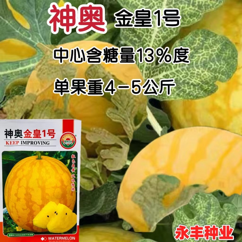神奥金皇1号黄皮黄瓤小西瓜种子高产超甜春盆栽阳台南方水果种子