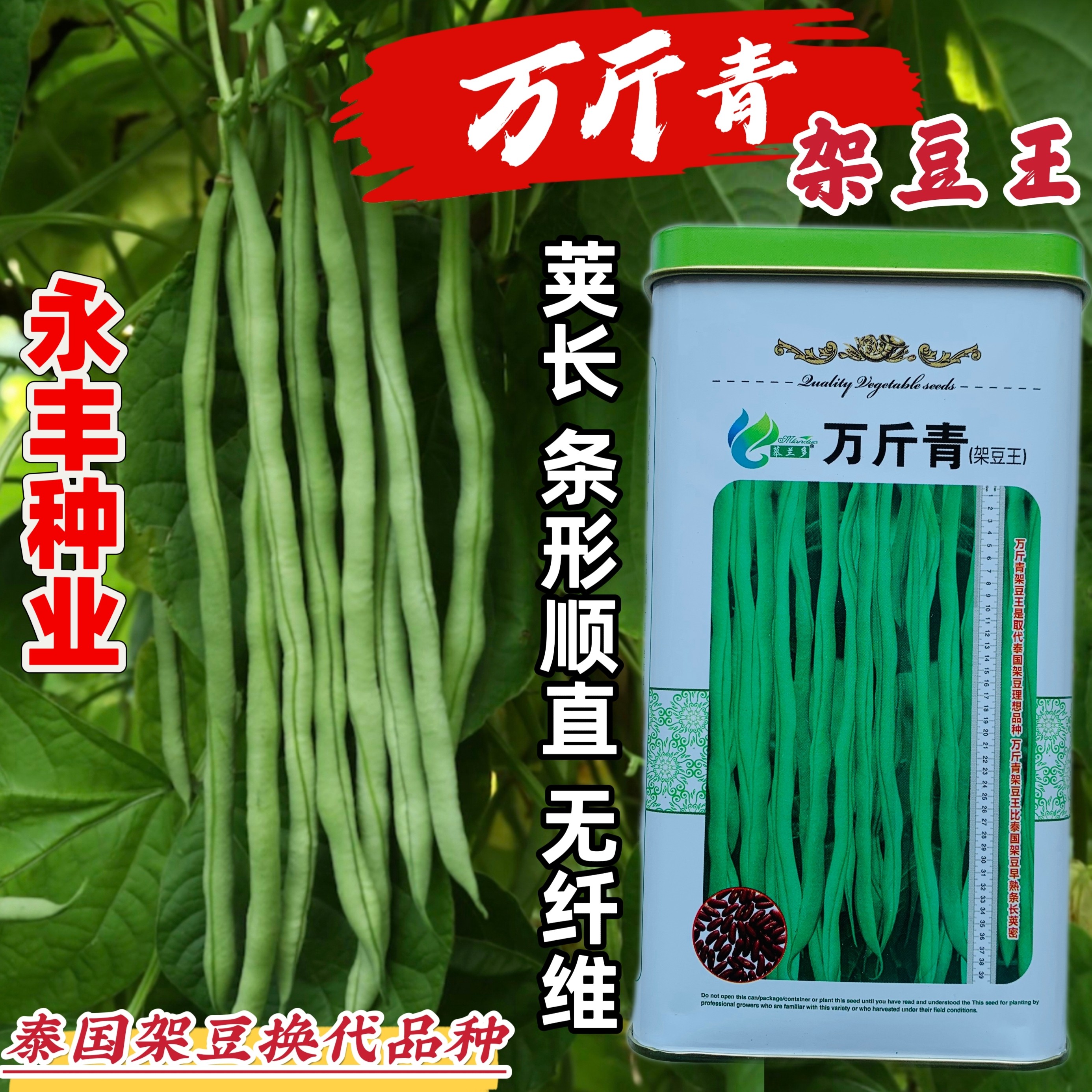 万斤青中早熟种子长豆角种籽孑子四季播盆栽农家芸豆架豆蔬菜种