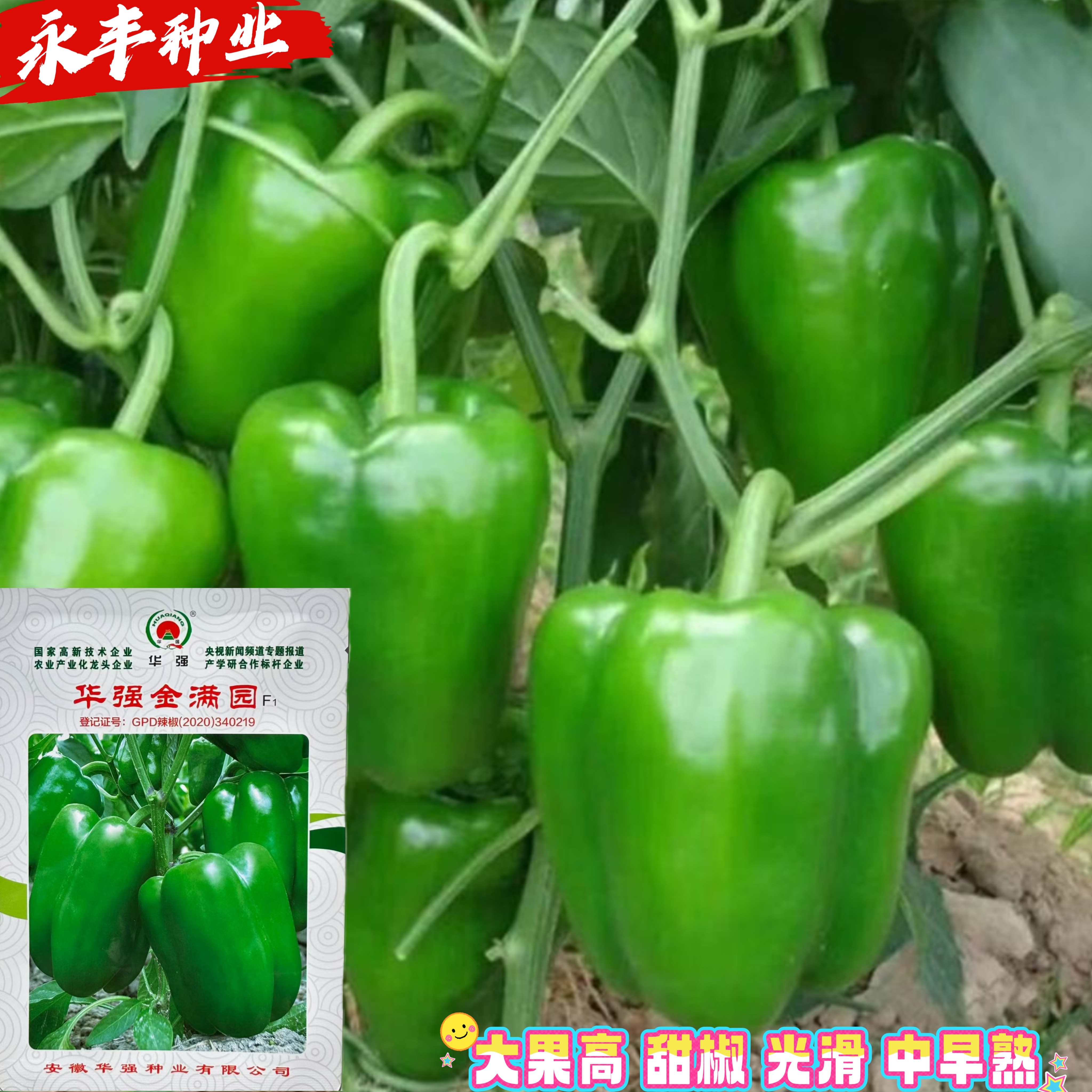 华强金满园甜椒种子灯笼椒种籽大果圆椒方椒种孑高产春秋辣椒种孑