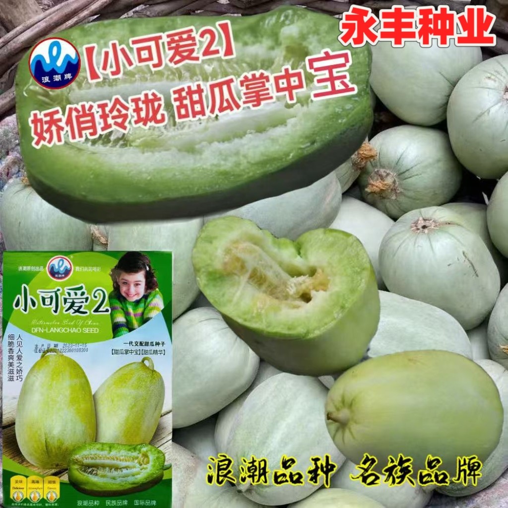 小可爱2掌中宝甜瓜种子春冬播大田羊角蜜皮薄细嫩香爽脆香瓜种籽