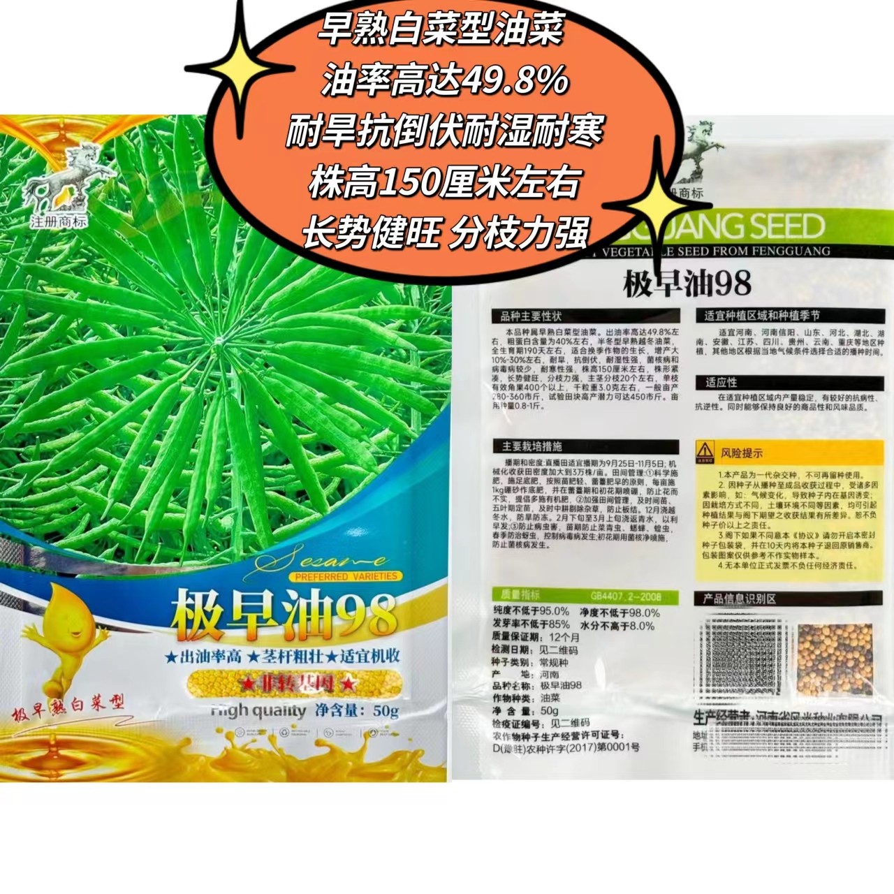 极早油98油菜籽极早熟矮杆高油正品非转基因黄籽耐寒耐旱强蔬菜籽