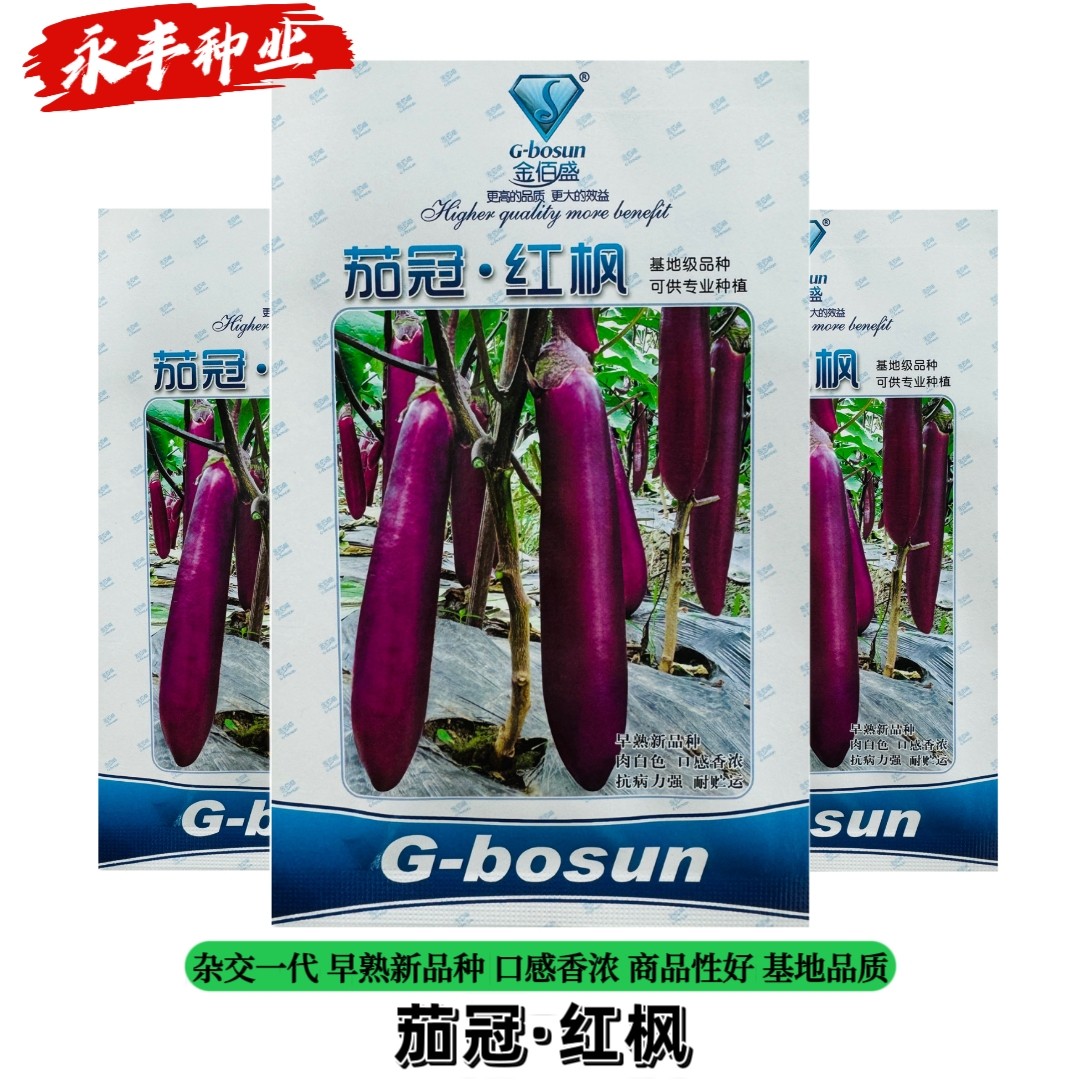 茄冠红枫茄子种子早熟高产抗病皮薄籽少紫红长茄种籽春秋播长茄种