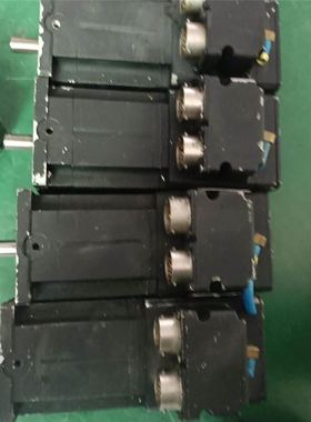 SEW电机电阻BW100-005 100欧50