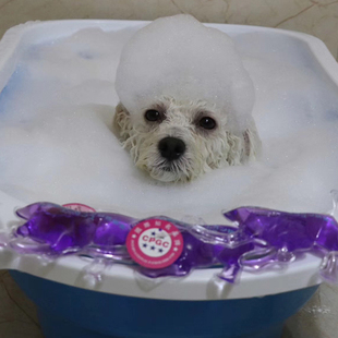 益宠水疗素狗狗蜂胶精油银离子水疗素宠物spa球泡泡浴液泡澡浴盐