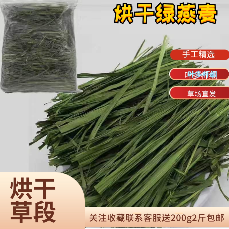 精品烘烤无穗青燕麦草段兔子龙猫荷兰猪琢鼠饲料口粮