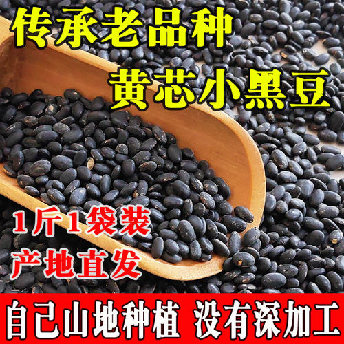 老品种黄仁肾形小黑豆