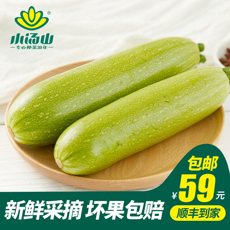 【小汤山】西葫芦 约300g 新鲜蔬菜当天采摘北京农场顺丰到家