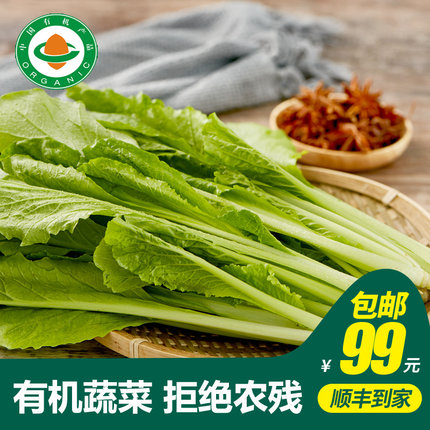 【小汤山】有机小白菜 约250g 有机蔬菜当天采摘北京农场顺丰到家