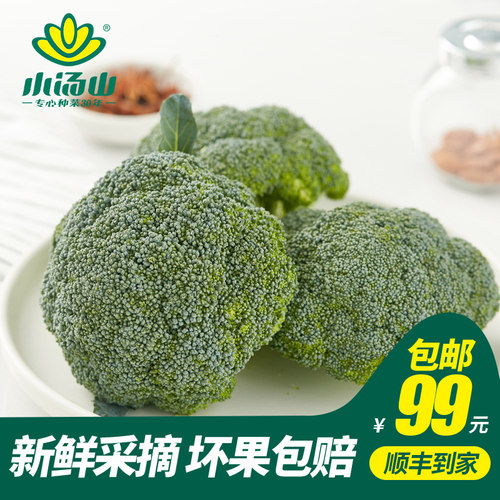 小汤山西兰花新鲜蔬菜