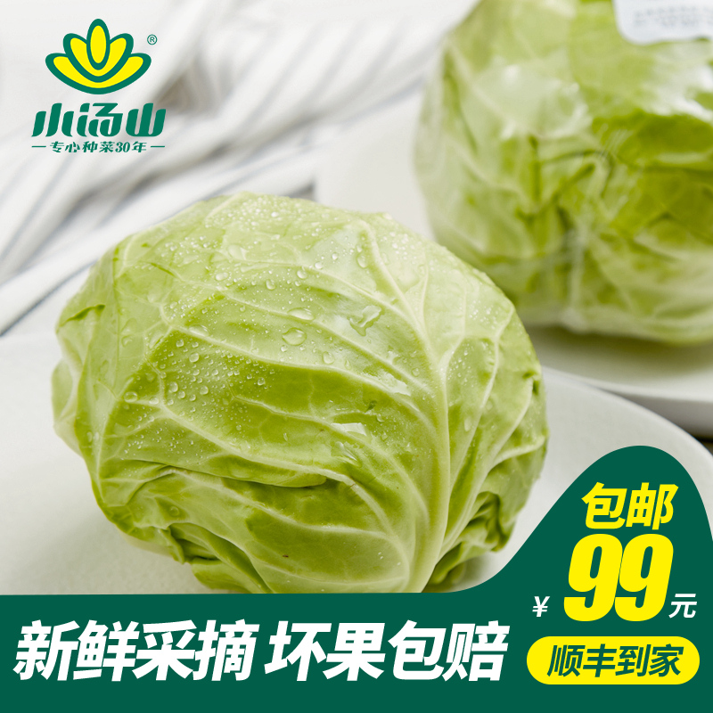 【小汤山】圆白菜 约500g 新鲜蔬菜基地种植当天采摘99元包顺丰 水产肉类/新鲜蔬果/熟食 其它 原图主图