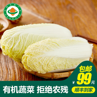 有机蔬菜基地当天采摘99元 约400g 有机娃娃菜 包顺丰 小汤山