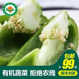 【小汤山】有机青圆椒 约300g 有机蔬菜当天采摘北京农场顺丰到家