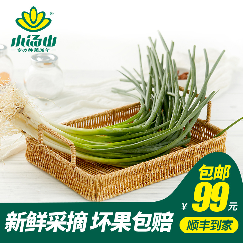 小汤山香葱新鲜蔬菜