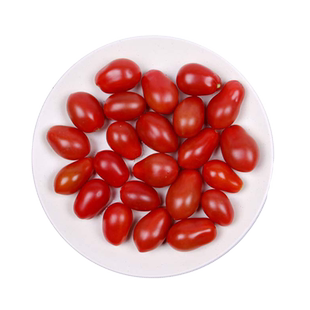 【小汤山】千禧番茄 约350g 新鲜蔬菜当天采摘北京农场顺丰到家