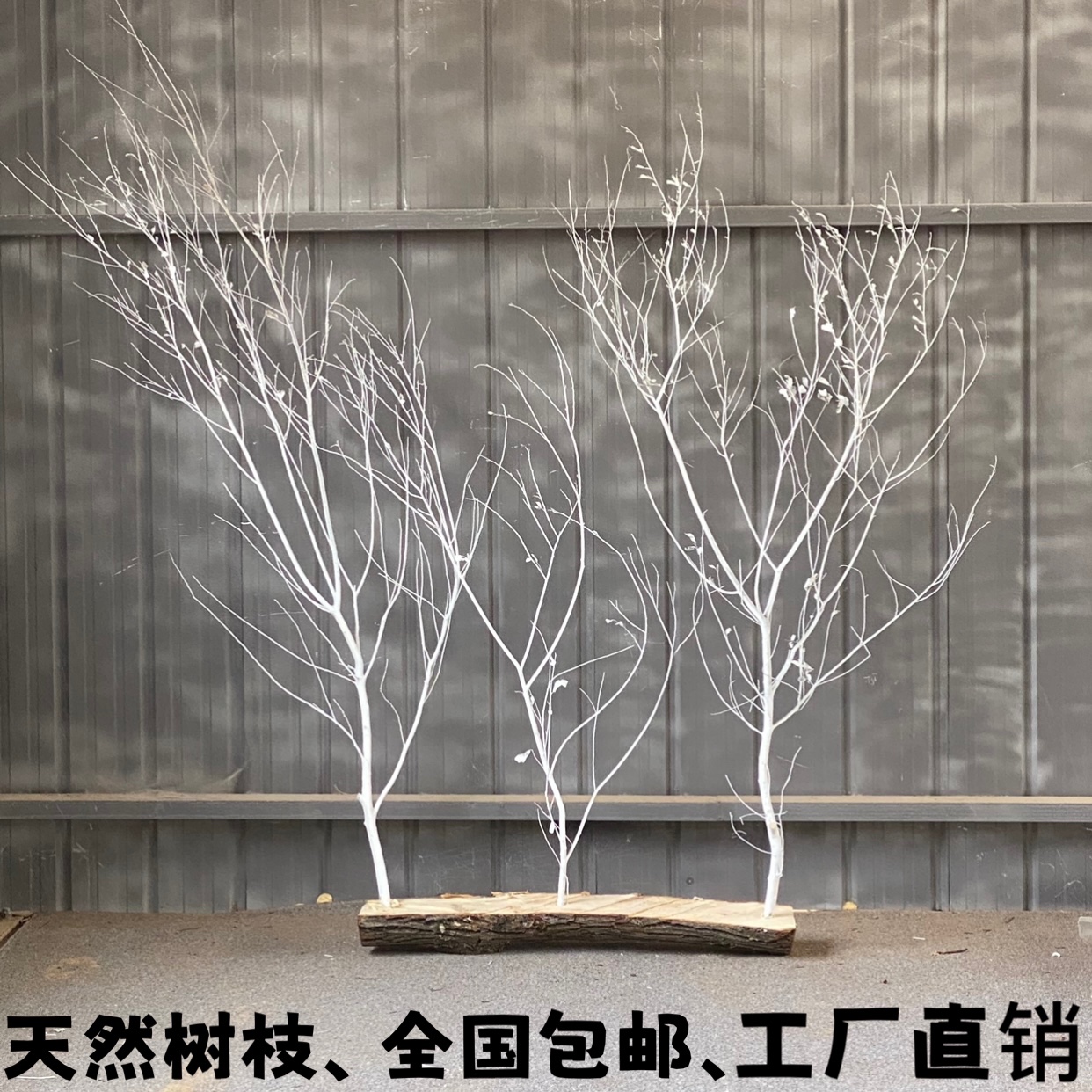 装饰干树枝白色树枝白色树