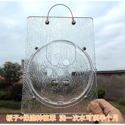 鹿角蕨种植罩相框定植板