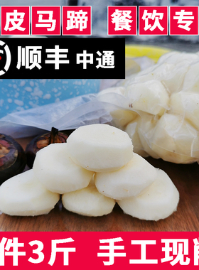 去皮马蹄 白马蹄荔浦马蹄新鲜荸荠削皮马蹄 火锅食材馅料量大价优