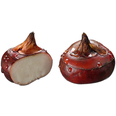 荔浦马蹄新鲜荸荠产地直供