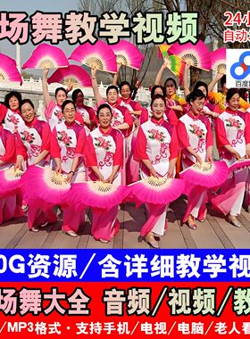 中国中老年大妈广场舞动感健身健美操教学零基础视频网盘MP4素材
