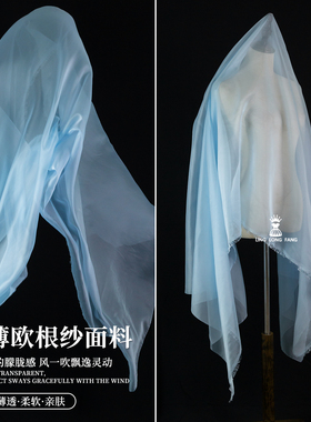 浅蓝色轻薄欧根纱透明软网纱婚纱设计师面料汉服衬衣连衣裙布料