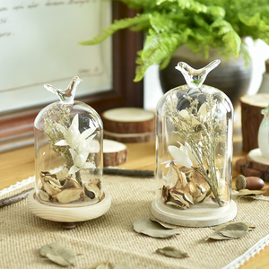 家居小鸟玻璃罩装饰品