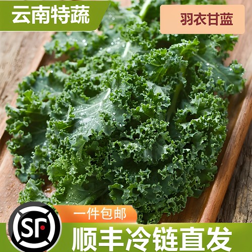 云南新鲜羽衣甘蓝嫩叶