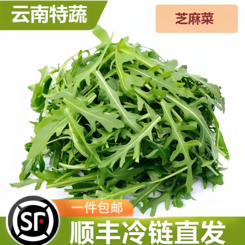 芝麻菜现挖现发火箭菜沙拉西餐