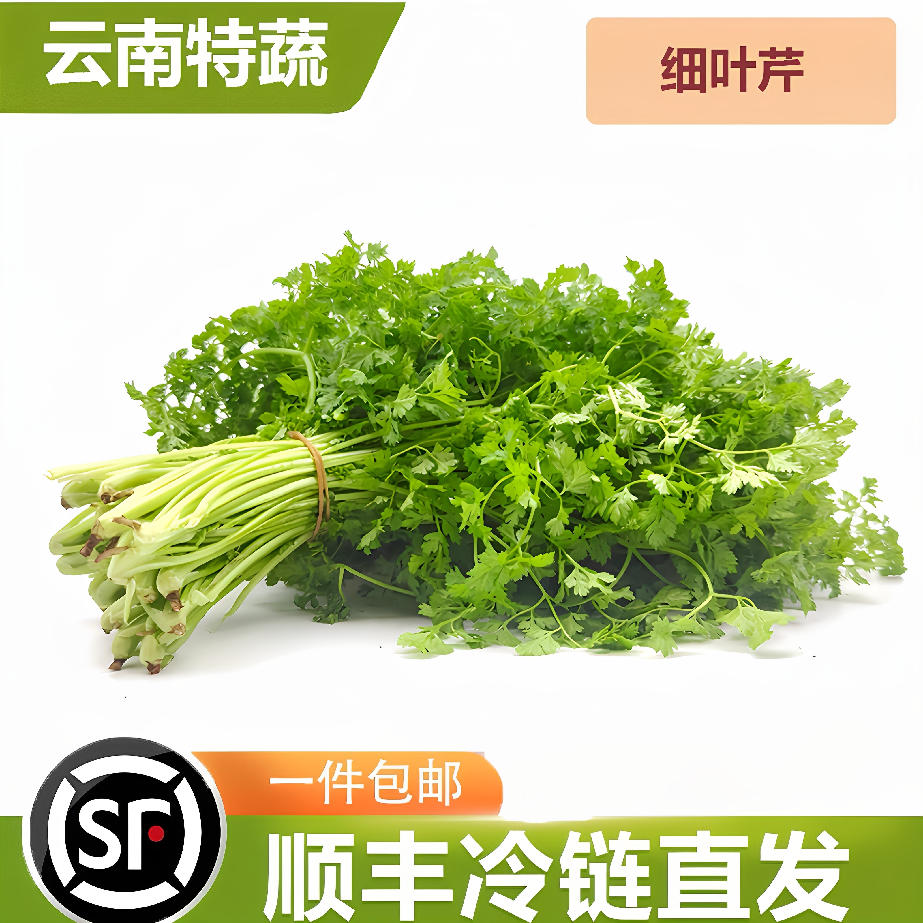 云南新鲜细叶芹50g西餐香料摆盘食用香叶芹有喙 欧芹山萝卜叶茴芹