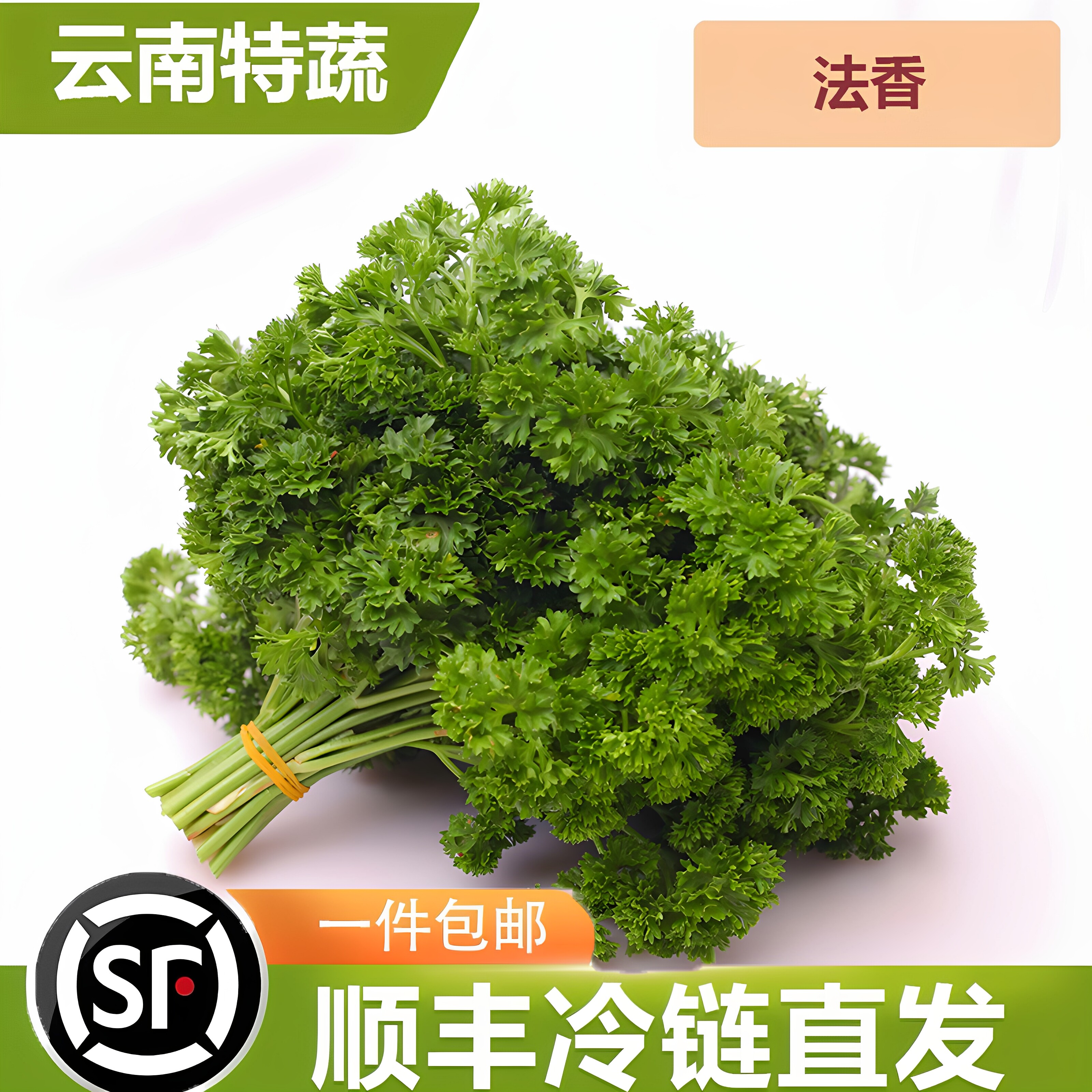 荷兰芹摆盘装饰点缀国洋蔬菜