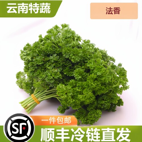 荷兰芹摆盘装饰点缀国洋蔬菜
