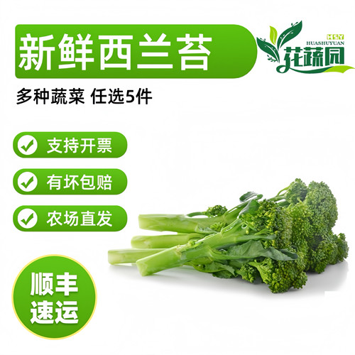 新鲜兰花苔绿色西兰花菜苔